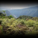 Piton papangue-1280x850