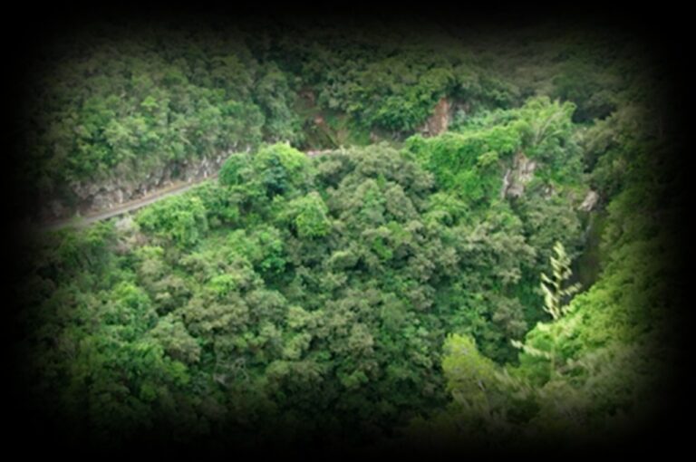 Ravine-à-Malheur-1280x850