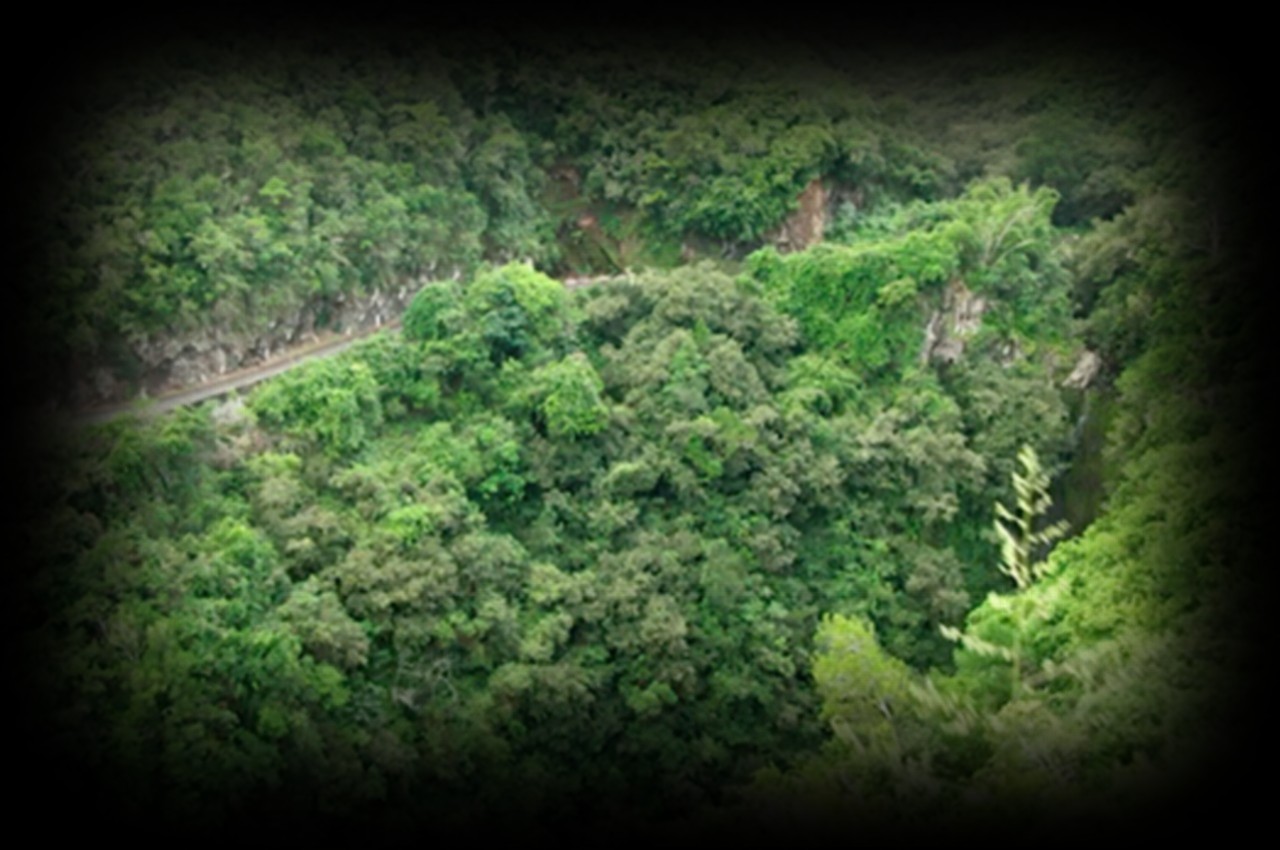Ravine-à-Malheur-1280x850
