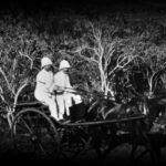 alcipe-a-ravine-a-malheur-1280x850