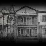 alcipe-a-saint-marie-1280x850