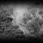 linterpellation-pour-le-feu-1280x850