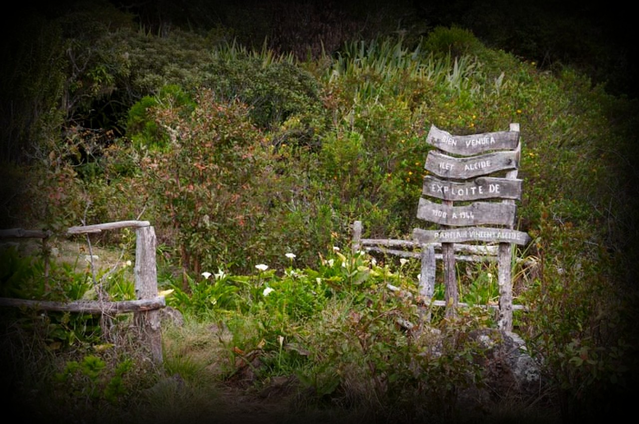 plateau-ilet-alcipe-1280x850