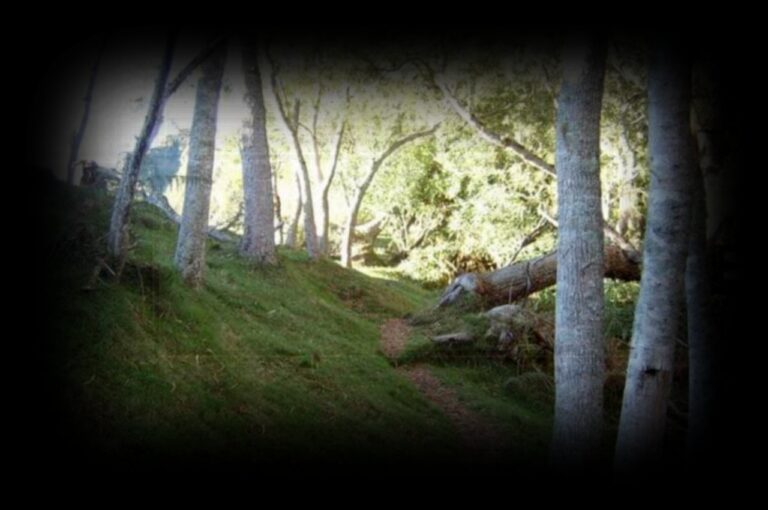 sentier-furcy-1280x850
