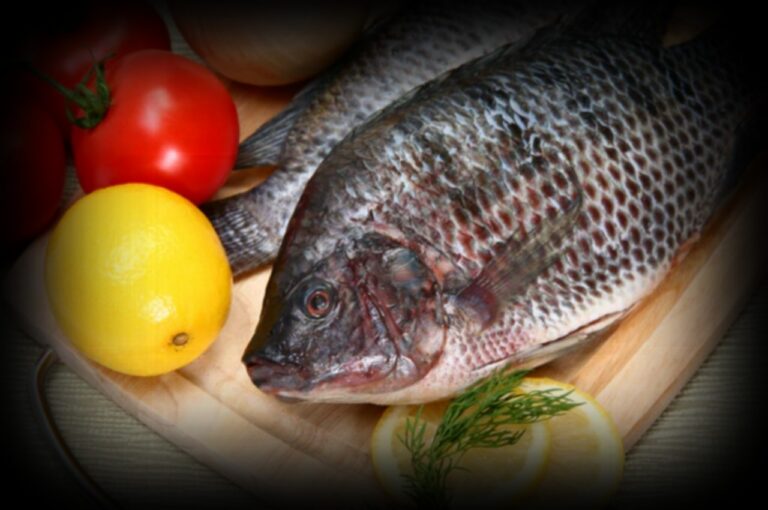 tilapia-1280x850