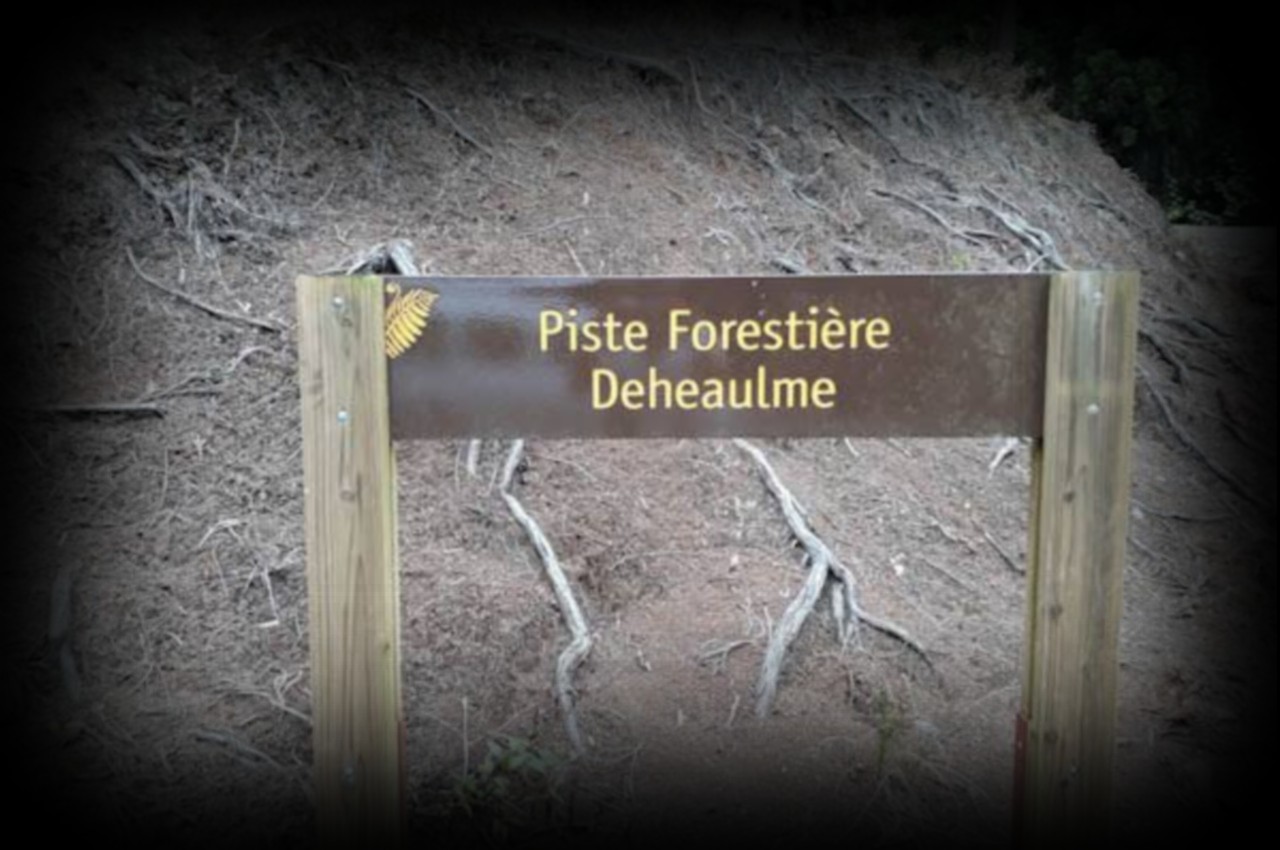 Narcisse-deheaulme-1280x850