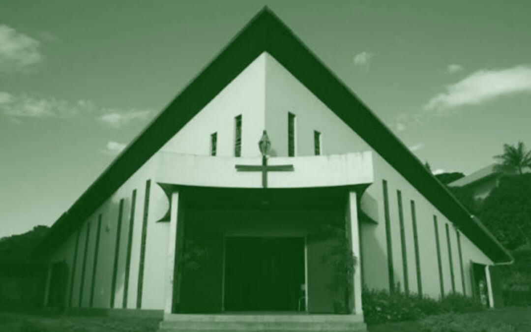 Alcipe à Sainte-Marie