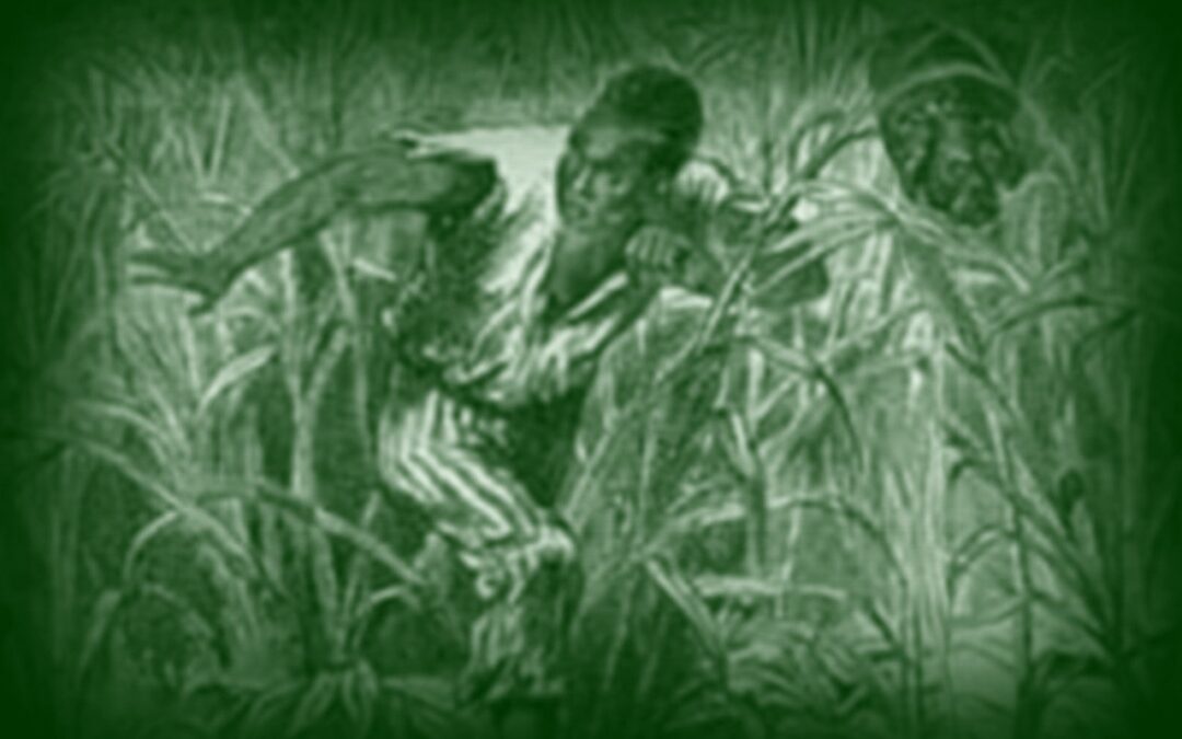 Le Marron îlet