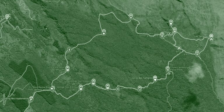 la-boucle-du-sentier-ilet-alcipe-1280x640