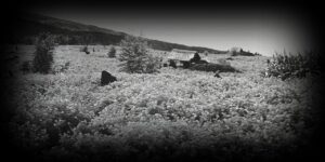 le-vestige-damour-1280x640