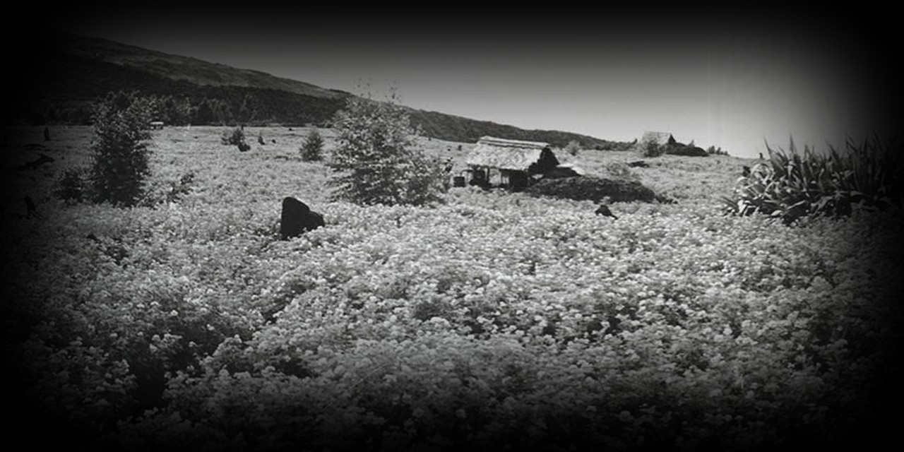 le-vestige-damour-1280x640