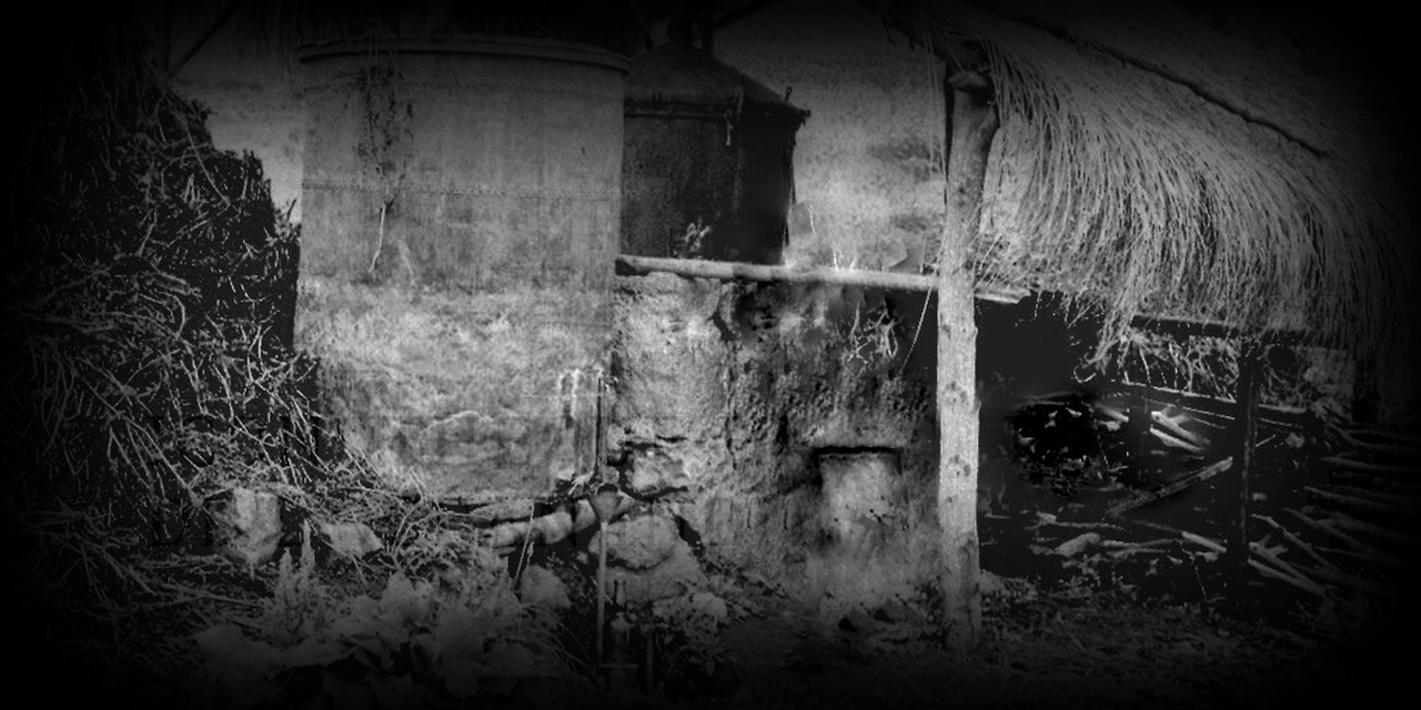 le-vestige-willmann-1280x640